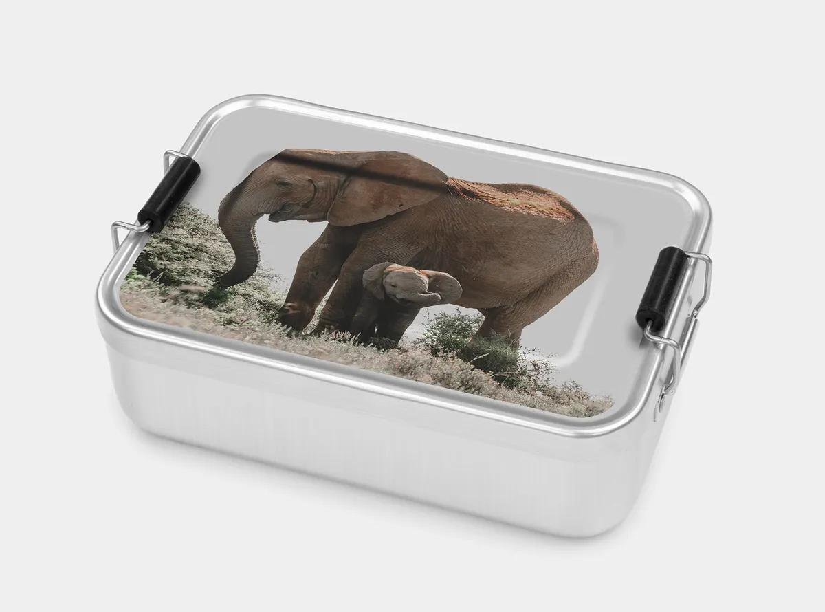 Metall Brotdose gestalten